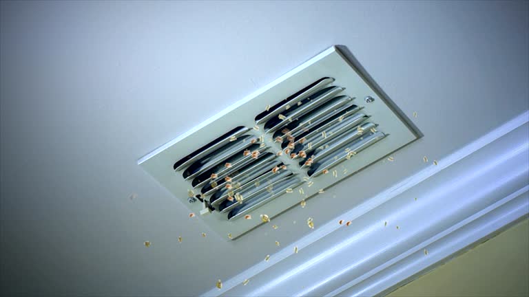 Best Best Air Duct Cleaning Company  in Navassa, NC
