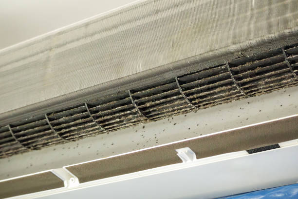 Best Air Duct Cleaning Near Me  in Navassa, NC